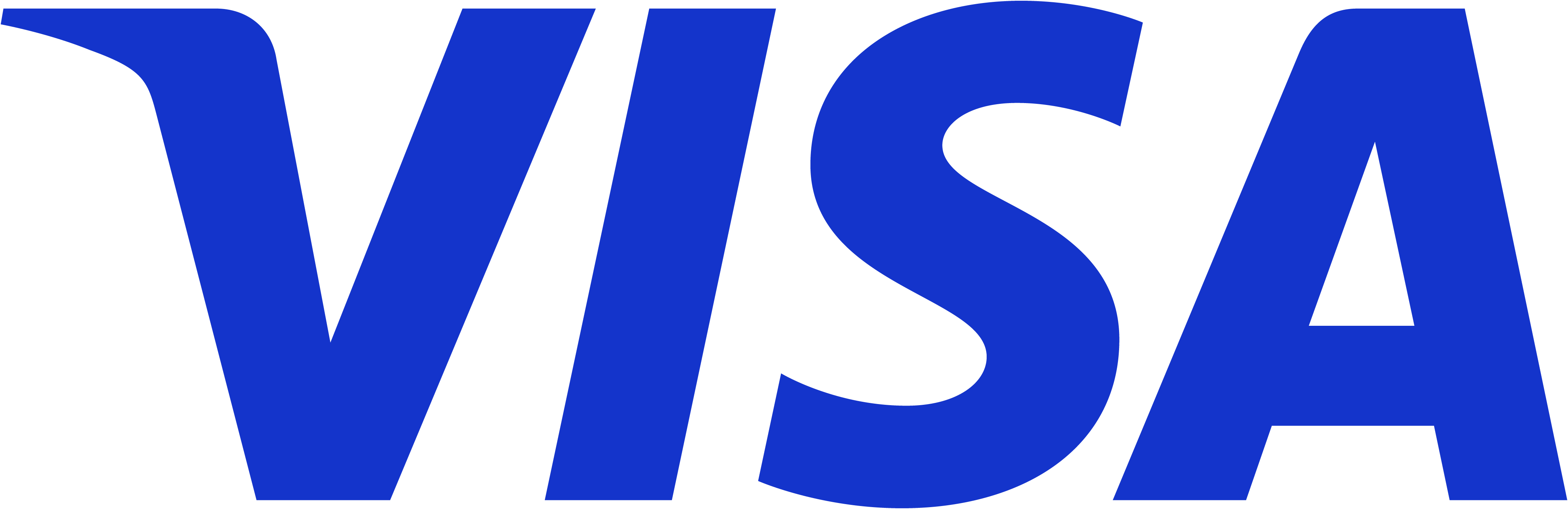 Visa_2021 logo